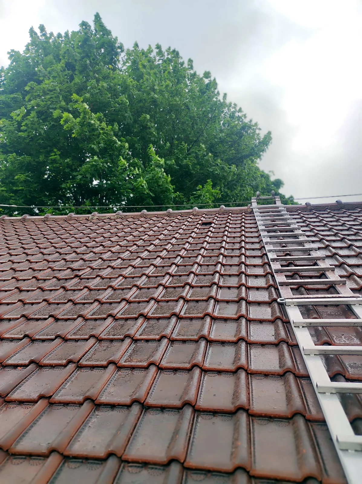 Toiture en tuiles entretenue